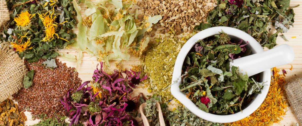 целебный сбор трав